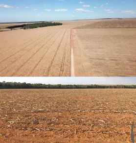 Fazenda Confresa, Confresa - MT — foto 1