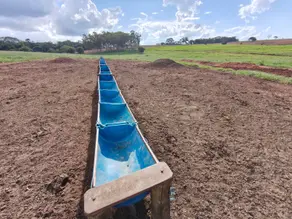 Sítio Centro, Tanabi - SP — foto 2