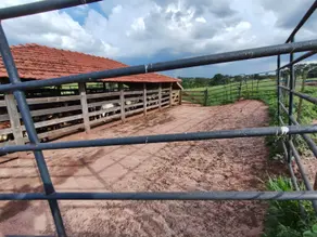 Imagem 2 - Sítio em Centro, Tanabi - SP
