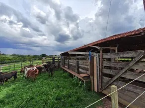 Sítio Centro, Tanabi - SP — foto 1