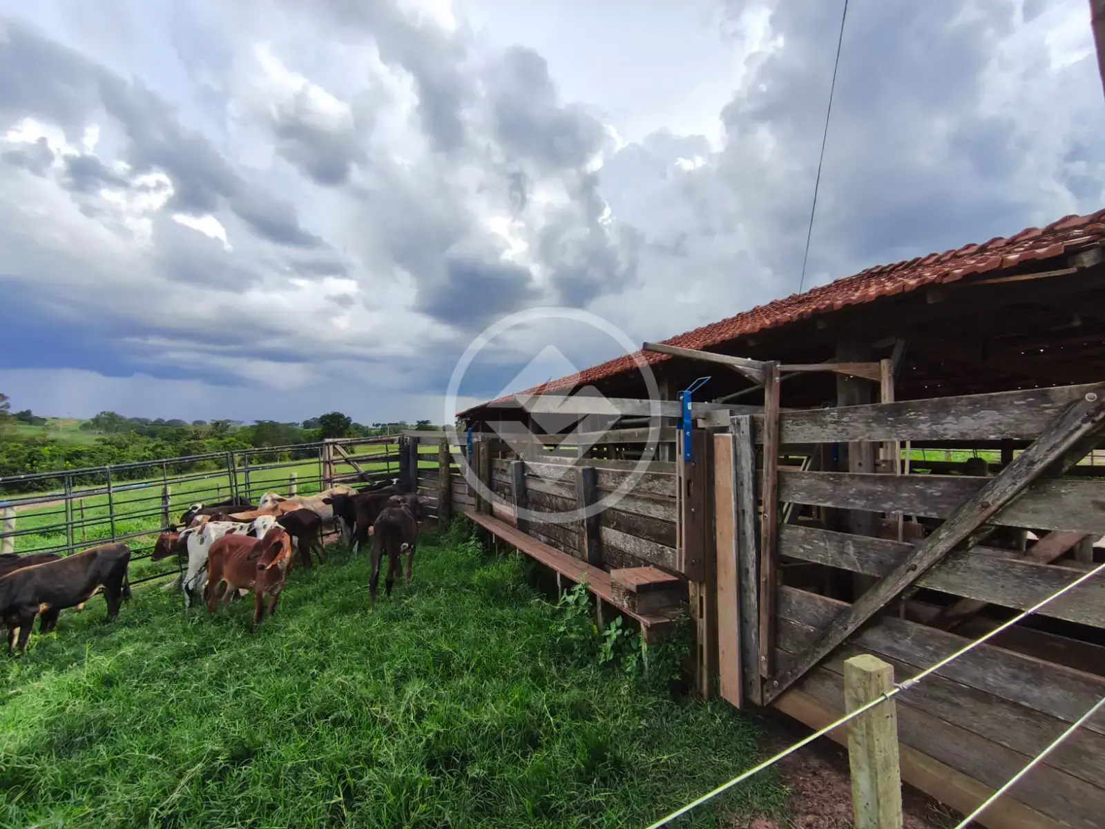 Imagem 1 - Sítio em Centro, Tanabi - SP