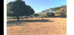 Chácara Vila Toninho, São José do Rio Preto - SP — foto 1