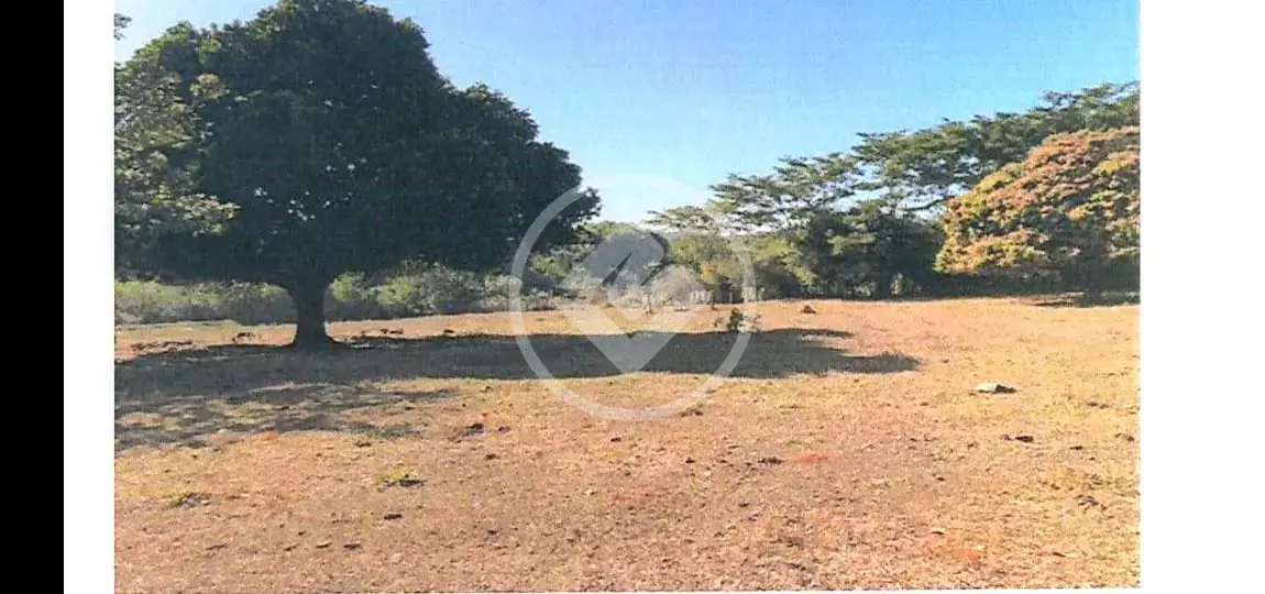 Imagem 1 - Chácara em Vila Toninho, São José do Rio Preto - SP