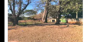 Chácara Vila Toninho, São José do Rio Preto - SP — foto 2