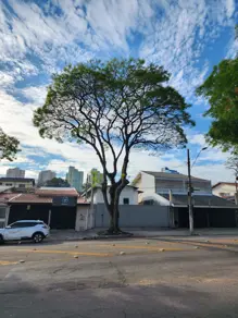 Imagem 4 - Galpão em Parque Industrial, São José dos Campos - SP