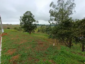 Terreno Condomínio Caixa d'Água, Taubaté - SP — foto 2