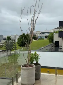 Casa Condomínio Condomínio Terras do Vale, Caçapava - SP — foto 2