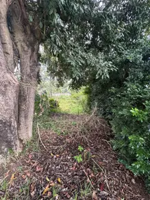 Imagem 6 - Terreno Condomínio em Chácaras Santa Rita, Caçapava - SP