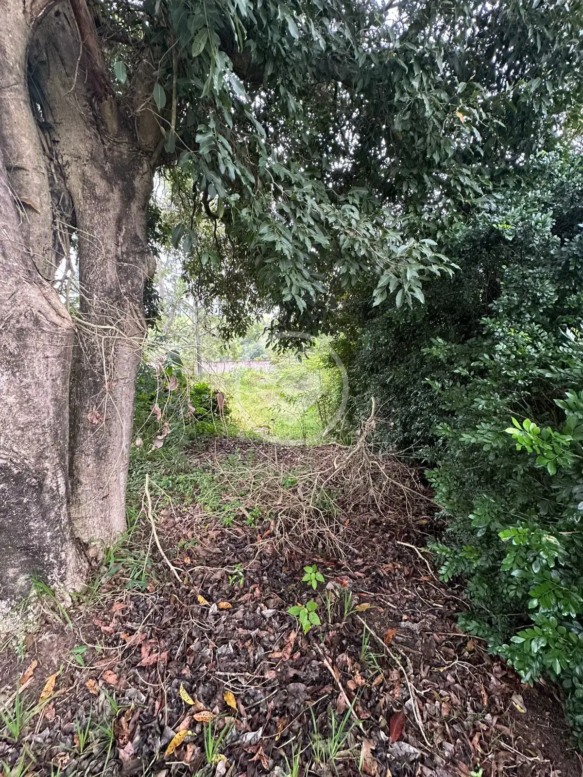 Imagem 6 - Terreno Condomínio em Chácaras Santa Rita, Caçapava - SP