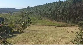 Terreno Condomínio Condomínio Terras de Santa Mariana, Caçapava - SP — foto 2