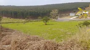 Imagem 2 - Terreno Condomínio em Condomínio Terras de Santa Mariana, Caçapava - SP