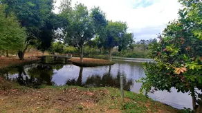 Imagem 6 - Terreno Condomínio em Condomínio Bellavittá, Caçapava - SP