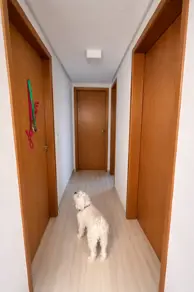 Imagem 6 - Apartamento em Setor Faiçalville, Goiânia - GO
