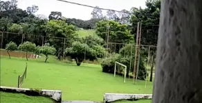 Imagem 2 - Sítio em Zona Rual, Taquaral de Goiás - GO