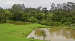 Sítio Zona Rual, Taquaral de Goiás - GO — foto 2