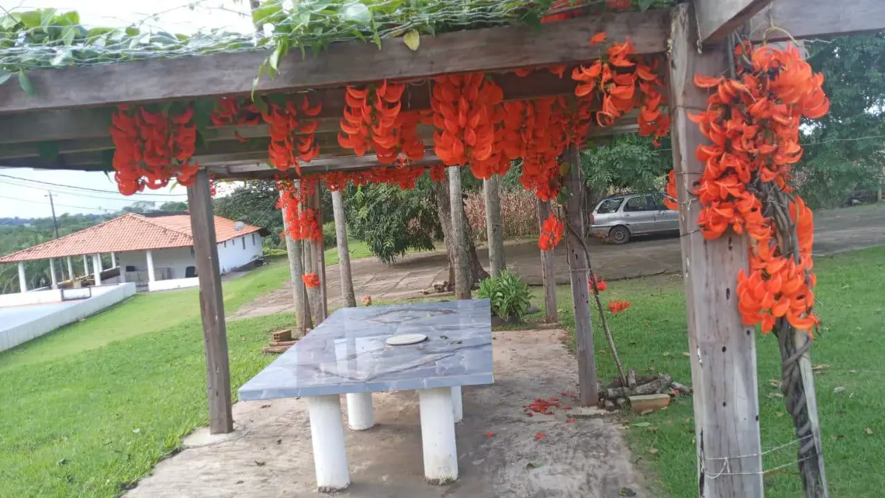Imagem 1 - Sítio em Zona Rual, Taquaral de Goiás - GO
