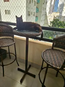 Imagem 4 - Apartamento em Jardim Goiás, Goiânia - GO