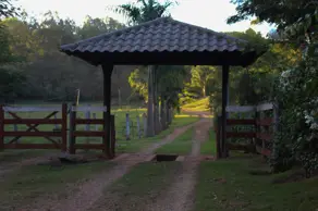 Fazenda Centro, Nova Veneza - GO — foto 1