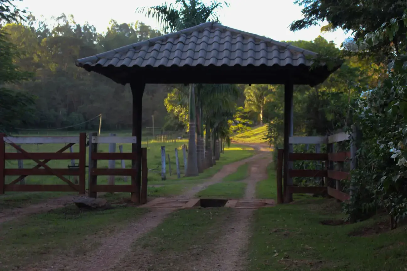 Imagem 1 - Fazenda em Centro, Nova Veneza - GO