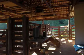 Imagem 5 - Fazenda em Centro, Nova Veneza - GO