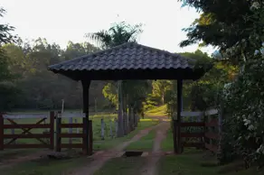 Imagem 2 - Fazenda em Centro, Nova Veneza - GO