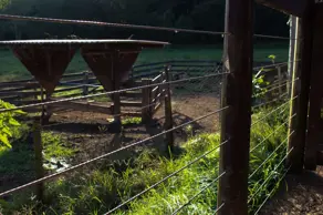 Fazenda Centro, Nova Veneza - GO — foto 2