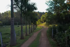 Imagem 3 - Fazenda em Centro, Nova Veneza - GO