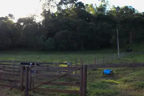 Imagem 4 - Fazenda em Centro, Nova Veneza - GO
