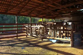 Imagem 6 - Fazenda em Centro, Nova Veneza - GO