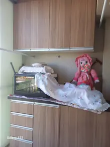 Imagem 3 - Apartamento em Feliz, Goiânia - GO