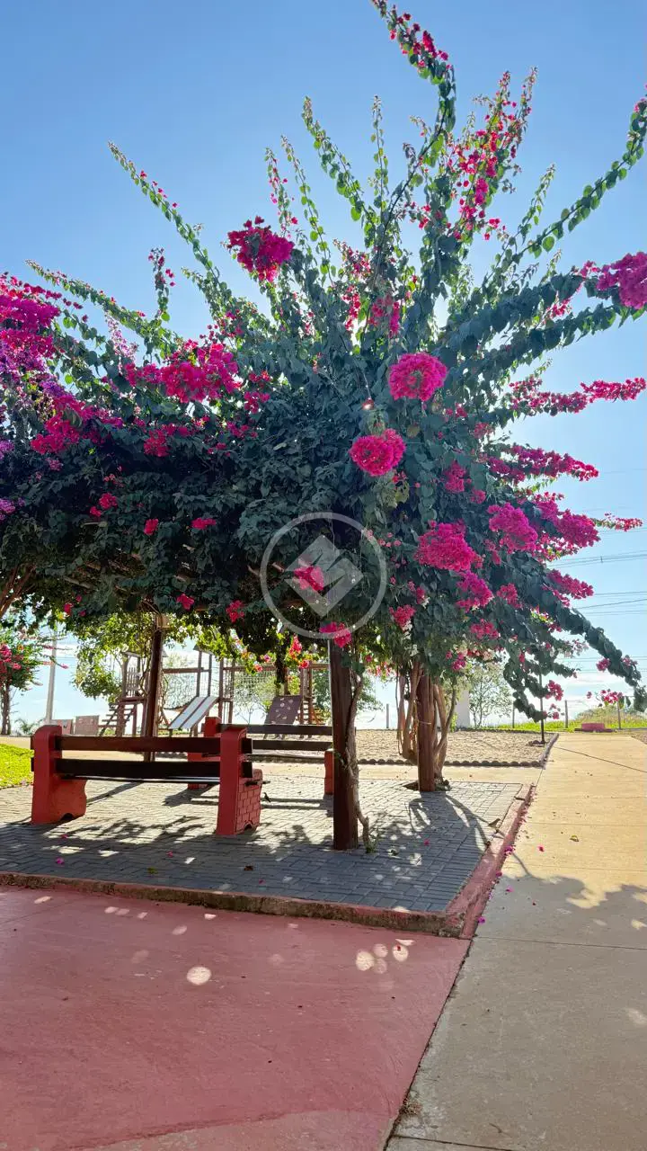 Imagem 2 - Chácara em Chácara Terra Santa, Trindade - GO