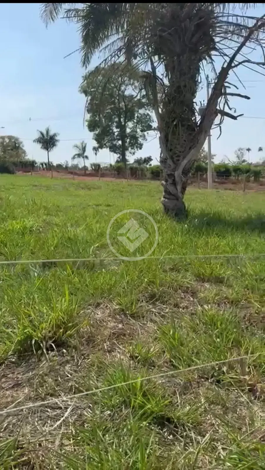 Image 8 - Chácara em Chácara Terra Santa, Trindade - GO