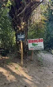 Imagem 4 - Chácara em Chácara Terra Santa, Trindade - GO