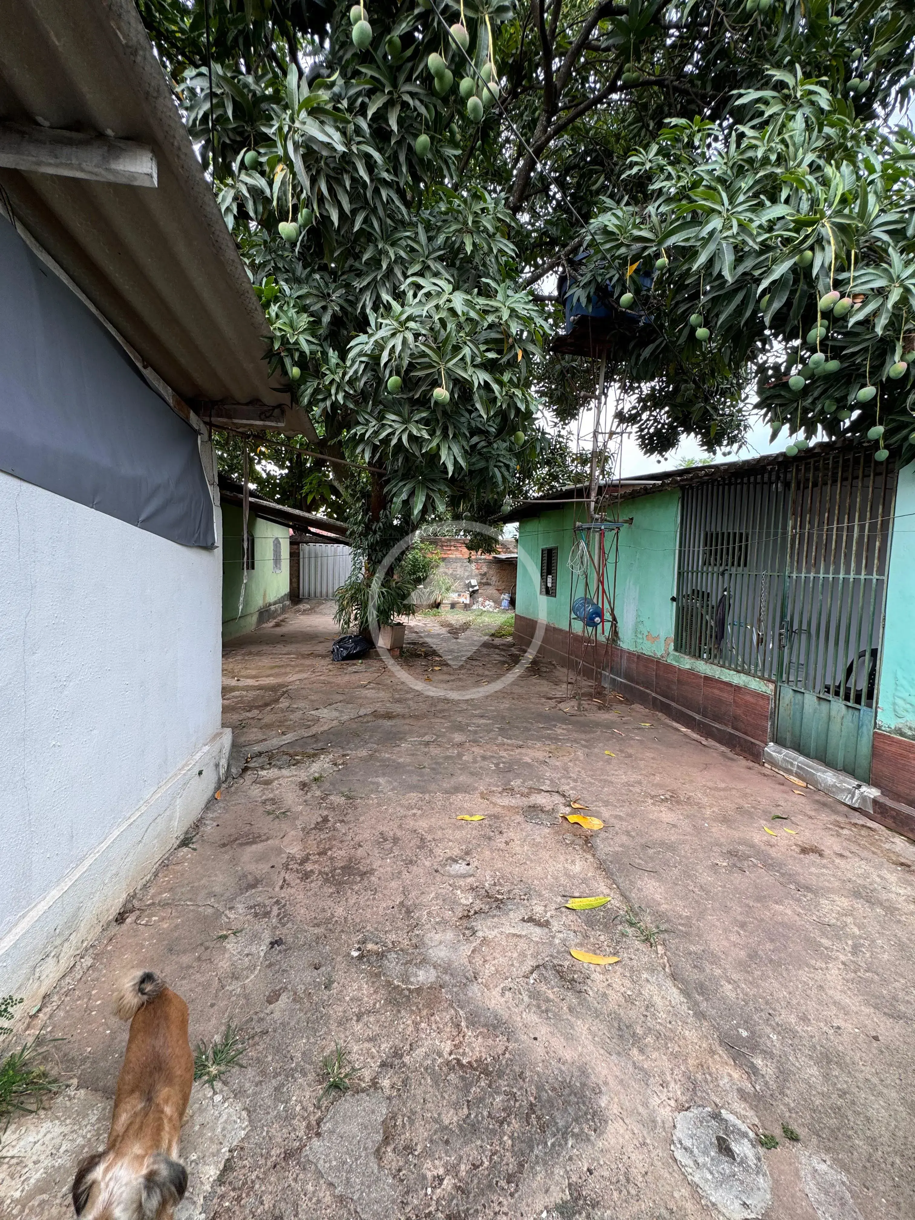 Image 5 - Terreno em Setor São José, Goiânia - GO
