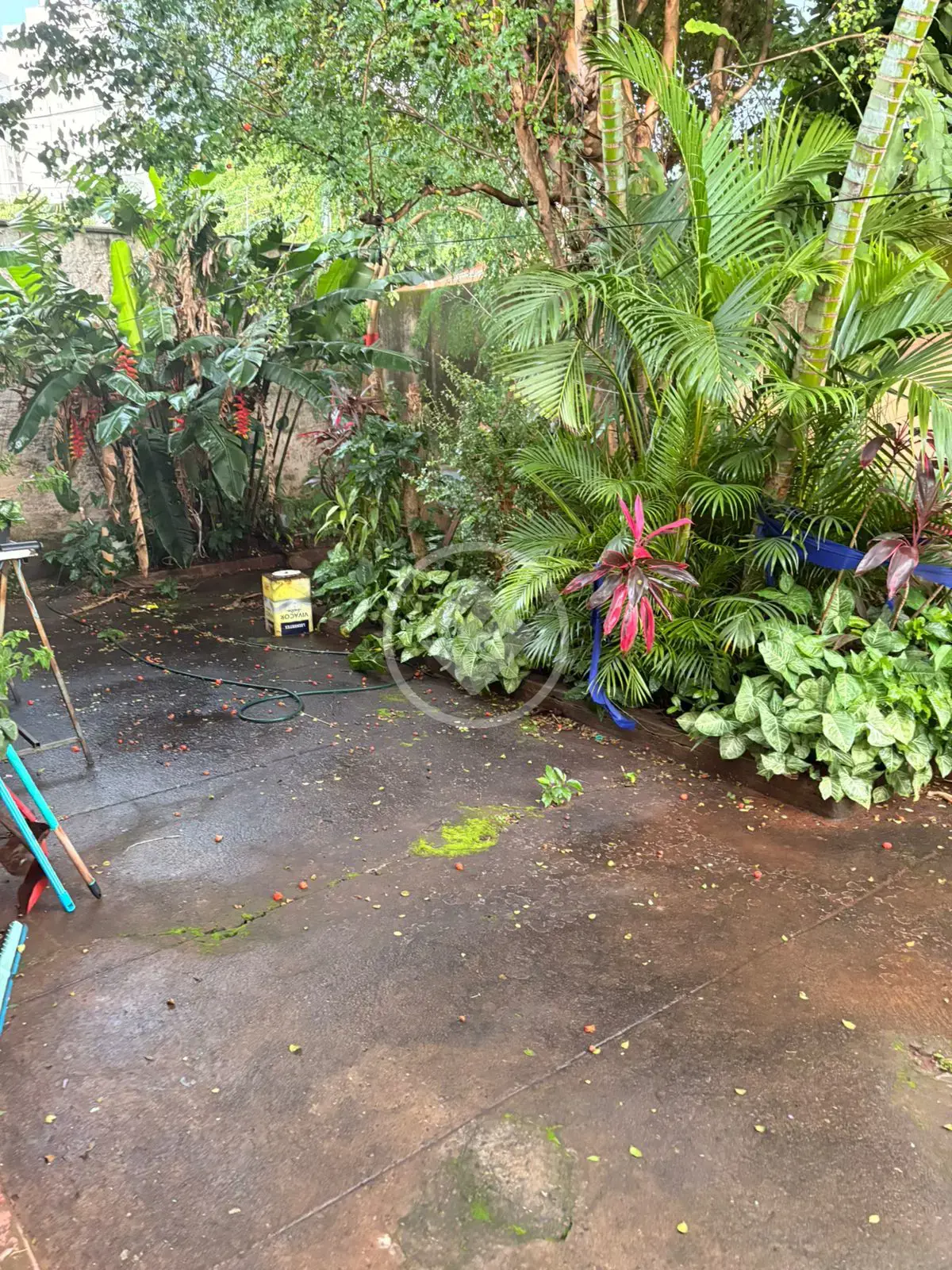 Imagem 1 - Terreno em Parque Amazônia, Goiânia - GO