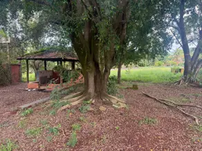 Imagem 3 - Terreno em Pontal Sul - Acréscimo, Aparecida de Goiânia - GO