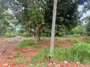 Imagem 5 - Terreno em Pontal Sul - Acréscimo, Aparecida de Goiânia - GO