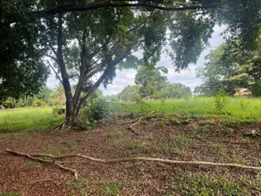 Imagem 4 - Terreno em Pontal Sul - Acréscimo, Aparecida de Goiânia - GO