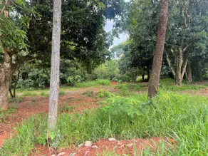 Imagem 6 - Terreno em Pontal Sul - Acréscimo, Aparecida de Goiânia - GO