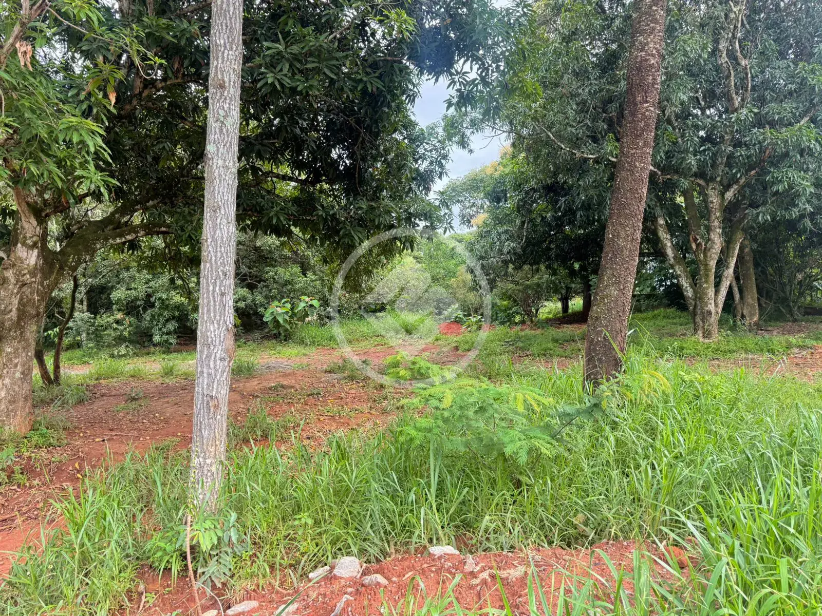 Image 7 - Terreno em Pontal Sul - Acréscimo, Aparecida de Goiânia - GO