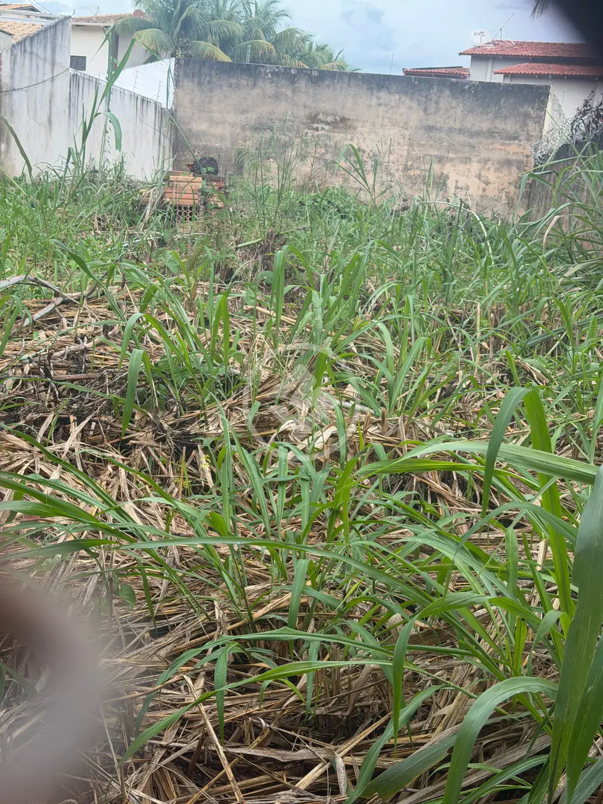 Imagem 1 - Terreno em Setor Jao, Goiânia - GO