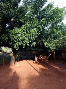 Imagem 2 - Chácara em Centro, Aragoiânia - GO