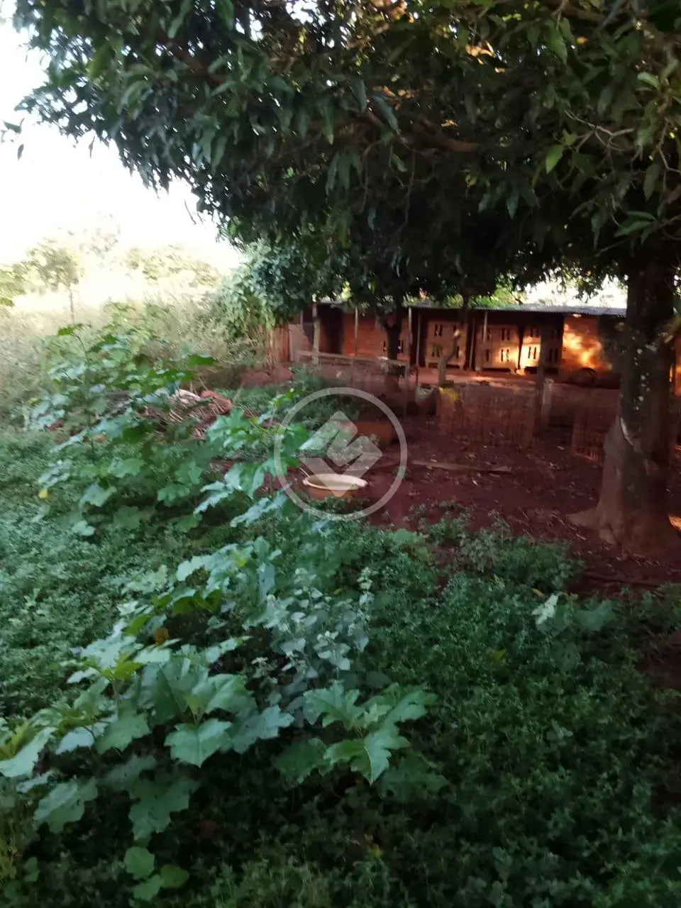 Image 2 - Chácara em Centro, Aragoiânia - GO
