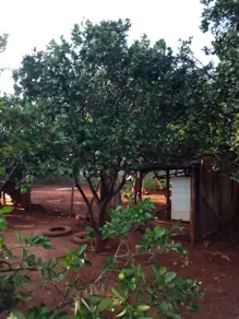 Imagem 3 - Chácara em Centro, Aragoiânia - GO