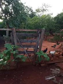 Imagem 4 - Chácara em Centro, Aragoiânia - GO