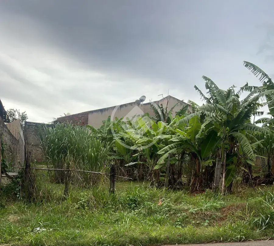 Imagem 1 - Terreno em Bairro Ilda, Goiânia - GO