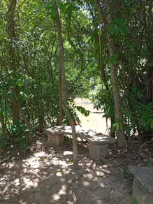 Imagem 4 - Chácara em Cidade Nova de Guapo 2 Parte, Guapó - GO