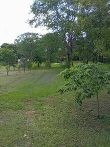 Imagem 3 - Chácara em Cidade Nova de Guapo 2 Parte, Guapó - GO