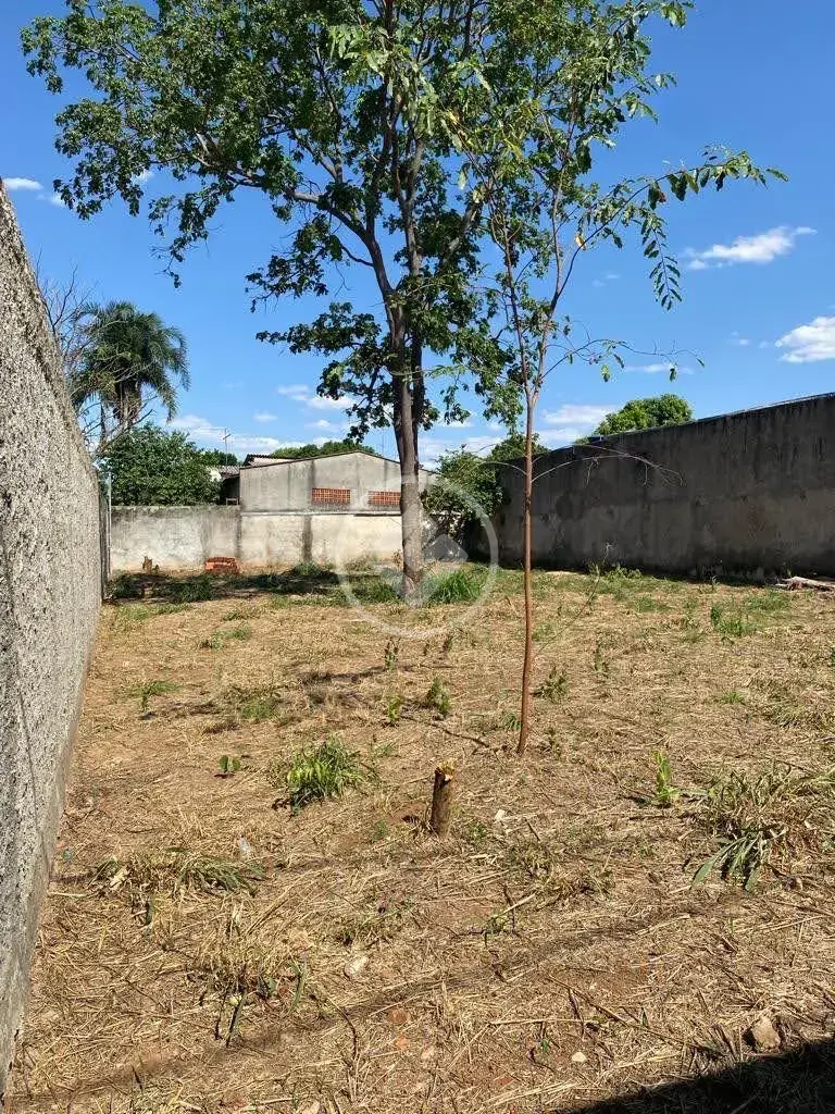 Imagem 2 - Terreno em Conjunto Vera Cruz, Aparecida de Goiânia - GO