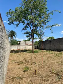 Imagem 3 - Terreno em Conjunto Vera Cruz, Aparecida de Goiânia - GO